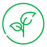 Ico_Veg@2x